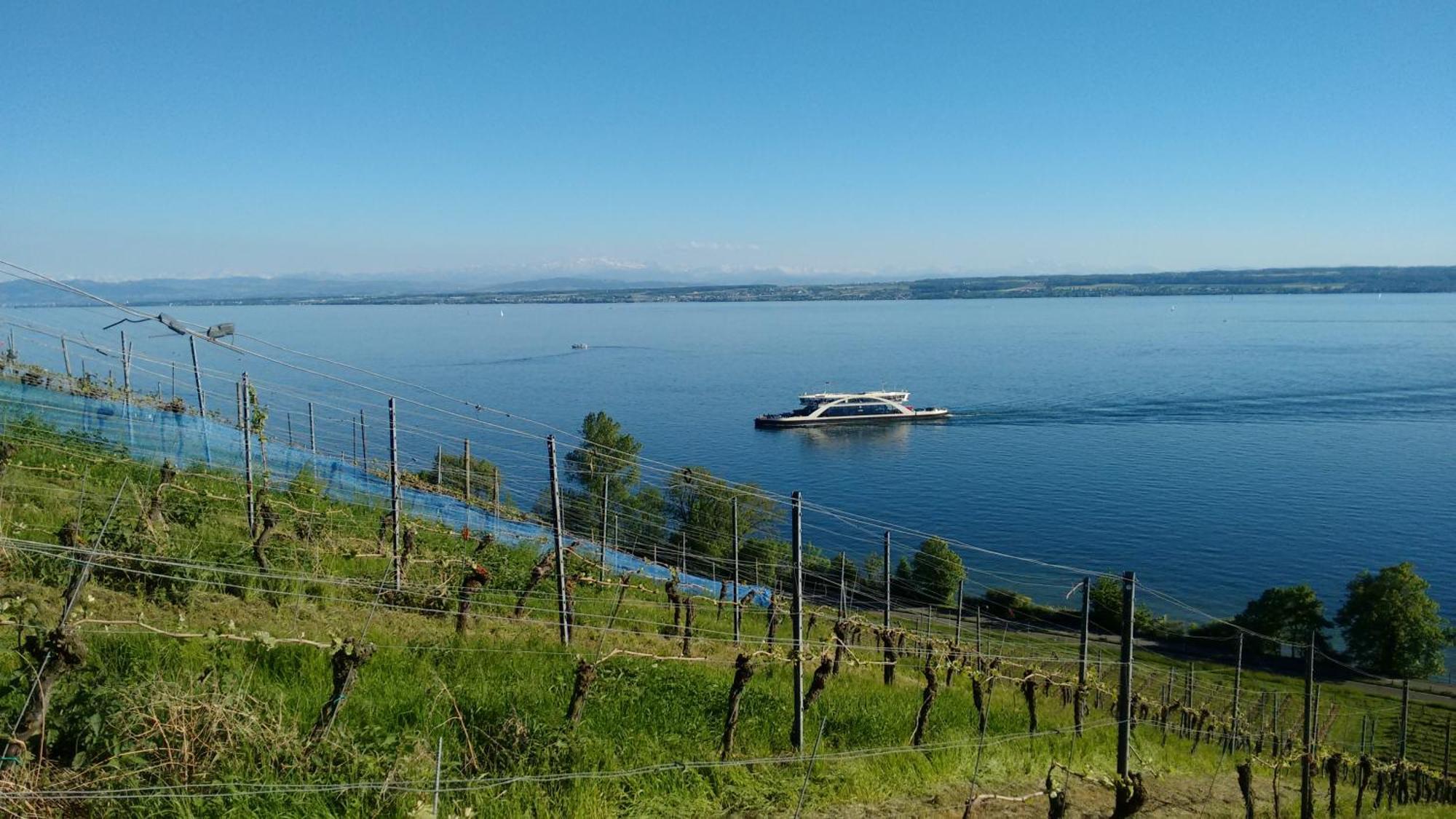 Haus Alexander Apartment Meersburg Bagian luar foto