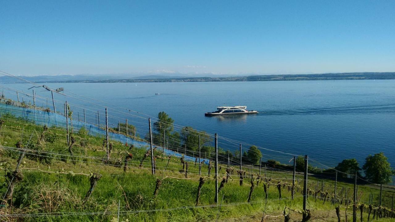 Haus Alexander Apartment Meersburg Bagian luar foto